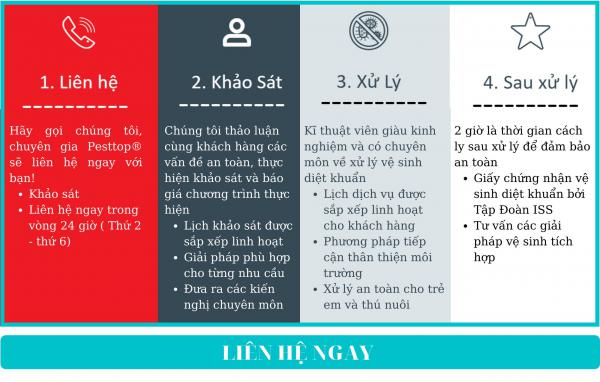 Quy trình dịch vụ khử khuẩn Covid chuyên nghiệp