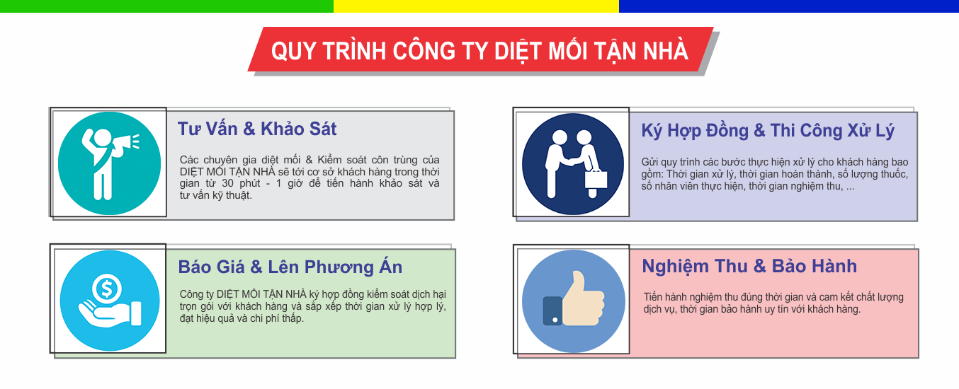 Quy trình cung cấp dịch vụ diệt mối tận gốc tại Nhà