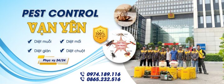 diệt mối giá rẻ tại Hoàng Mai