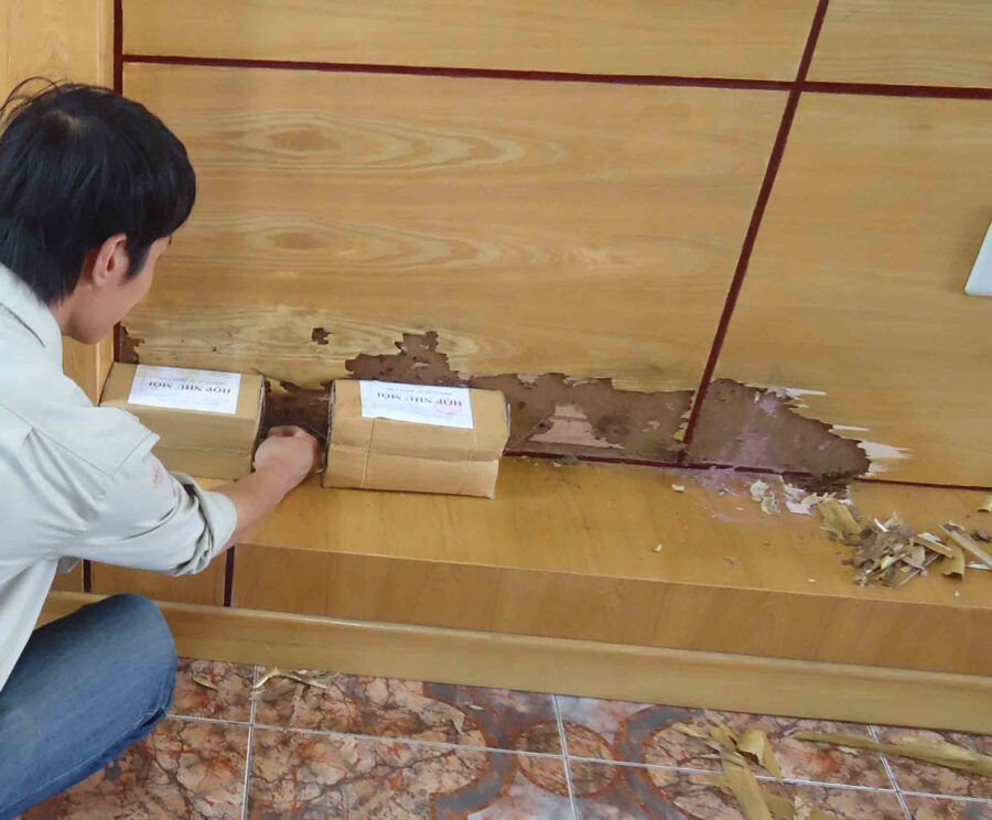 Dịch vụ diệt mối giá rẻ tại Ba Đình